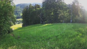 Skiareál Karolinka - Prostřední část sjezdovky a snowpark - 9.6.2026 v 06:50 Skiareál Karolinka - Prostřední část sjezdovky a snowpark - 9.6.2026 v 06:50
