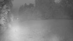 Prostřední část sjezdovky a snowpark