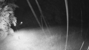 Skiareál Karolinka - Prostřední část sjezdovky a snowpark - 13.6.2026 v 03:32 Skiareál Karolinka - Prostřední část sjezdovky a snowpark - 13.6.2026 v 03:32