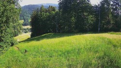 Prostřední část sjezdovky a snowpark