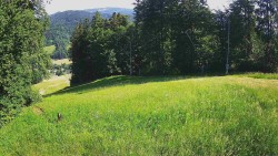 Prostřední část sjezdovky a snowpark
