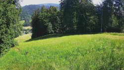 Prostřední část sjezdovky a snowpark