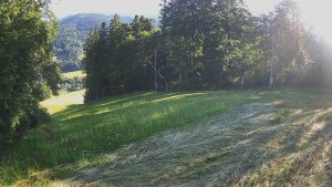 Ośrodek narciarski Karolinka - Środkowa część trasy zjazdowej i snowpark - 24.6.2026 v 06:55 Ośrodek narciarski Karolinka - Środkowa część trasy zjazdowej i snowpark - 24.6.2026 v 06:55