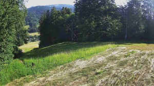 Ośrodek narciarski Karolinka - Środkowa część trasy zjazdowej i snowpark - 24.6.2026 v 07:55 Ośrodek narciarski Karolinka - Środkowa część trasy zjazdowej i snowpark - 24.6.2026 v 07:55