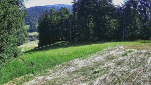 Ośrodek narciarski Karolinka - Środkowa część trasy zjazdowej i snowpark - 24.6.2026 v 08:55 Ośrodek narciarski Karolinka - Środkowa część trasy zjazdowej i snowpark - 24.6.2026 v 08:55