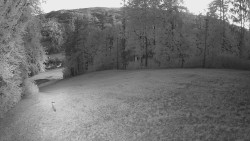 The middle section of the ski slope and the snowpark