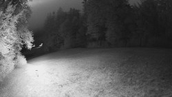 Środkowa część trasy zjazdowej i snowpark