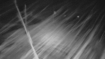 Snímek    3.11.2025 v 05:00