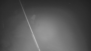 Skiareál Troják - Otočná kamera, svah A - 13.12.2025 v 21:00 Skiareál Troják - Otočná kamera, svah A - 13.12.2025 v 21:00