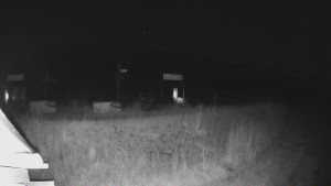 Skiareál Lázeňský vrch - Sjezdovka - 13.6.2025 v 23:04 Skiareál Lázeňský vrch - Sjezdovka - 13.6.2025 v 23:04