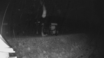 Snímek    2.11.2025 v 23:09