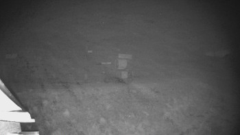 Snímek 9.11.2025 v 04:04