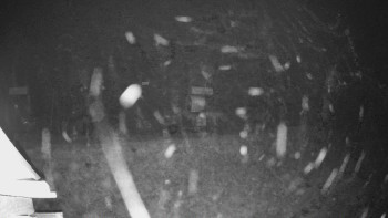 Snímek 15.11.2025 v 19:34