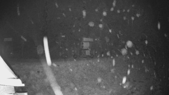 Snímek 15.11.2025 v 19:44