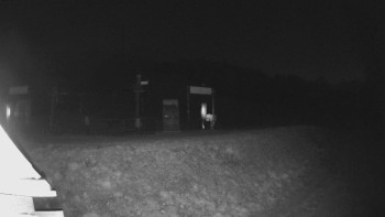 Snímek 23.11.2025 v 17:19