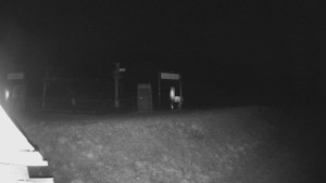 Skiareál Lázeňský vrch - Sjezdovka - 24.11.2025 v 03:44 Skiareál Lázeňský vrch - Sjezdovka - 24.11.2025 v 03:44