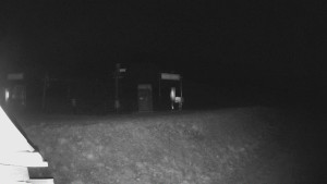 Skiareál Lázeňský vrch - Sjezdovka - 24.11.2025 v 04:44 Skiareál Lázeňský vrch - Sjezdovka - 24.11.2025 v 04:44