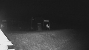 Skiareál Lázeňský vrch - Sjezdovka - 24.11.2025 v 04:49 Skiareál Lázeňský vrch - Sjezdovka - 24.11.2025 v 04:49