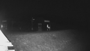 Skiareál Lázeňský vrch - Sjezdovka - 24.11.2025 v 05:24 Skiareál Lázeňský vrch - Sjezdovka - 24.11.2025 v 05:24