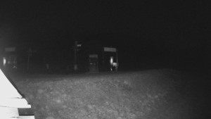 Skiareál Lázeňský vrch - Sjezdovka - 24.11.2025 v 05:39 Skiareál Lázeňský vrch - Sjezdovka - 24.11.2025 v 05:39