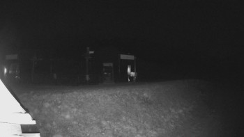 Snímek 24.11.2025 v 05:59