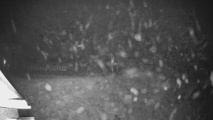 Skiareál Lázeňský vrch - Sjezdovka - 22.12.2025 v 20:29 Skiareál Lázeňský vrch - Sjezdovka - 22.12.2025 v 20:29