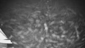 Skiareál Lázeňský vrch - Sjezdovka - 22.12.2025 v 21:44 Skiareál Lázeňský vrch - Sjezdovka - 22.12.2025 v 21:44