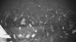 Skiareál Lázeňský vrch - Sjezdovka - 22.12.2025 v 21:49 Skiareál Lázeňský vrch - Sjezdovka - 22.12.2025 v 21:49