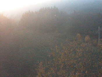 Snímek 6.11.2025 v 06:10