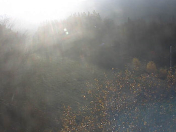 Snímek 6.11.2025 v 07:40