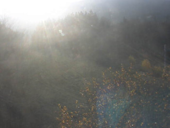 Snímek 7.11.2025 v 07:32