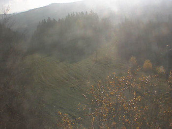 Snímek 7.11.2025 v 09:30