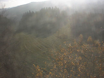 Snímek 7.11.2025 v 09:32