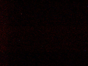 Skiareál Troják - Kamera na svahu B, pohled od chaty - 14.11.2025 v 01:19 Skiareál Troják - Kamera na svahu B, pohled od chaty - 14.11.2025 v 01:19