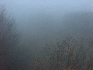 Skiareál Troják - Kamera na svahu B, pohled od chaty - 14.11.2025 v 06:39 Skiareál Troják - Kamera na svahu B, pohled od chaty - 14.11.2025 v 06:39