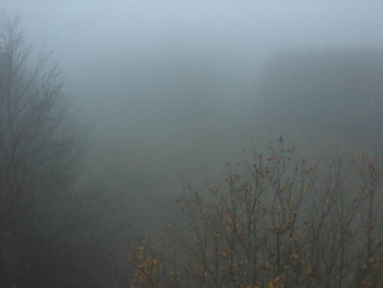 Snímek 14.11.2025 v 07:02