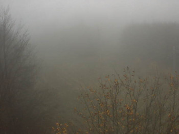 Snímek 14.11.2025 v 08:02