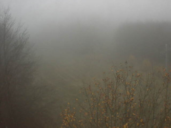 Snímek 14.11.2025 v 08:32