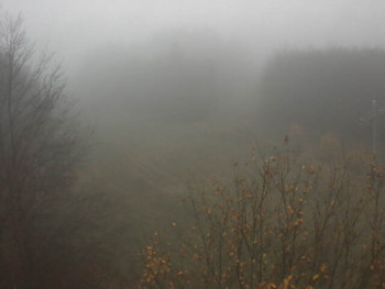 Snímek 16.11.2025 v 07:31