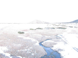 Luční bouda, pramen Bílého Labe