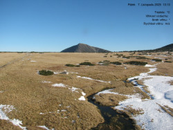 Luční bouda, pramen Bílého Labe