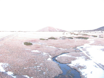 Snímek 7.11.2025 v 17:00