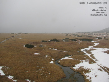 Snímek 9.11.2025 v 12:45