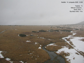 Snímek 9.11.2025 v 13:00