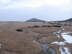 Luční bouda, pramen Bílého Labe