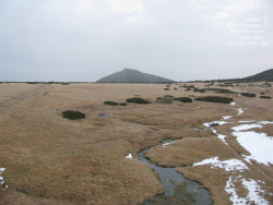 Luční bouda, pramen Bílého Labe