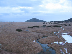 Luční bouda, pramen Bílého Labe