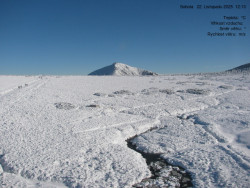 Luční bouda, pramen Bílého Labe