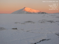 Luční bouda, pramen Bílého Labe
