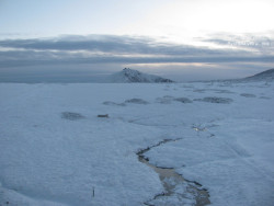 Luční bouda, pramen Bílého Labe